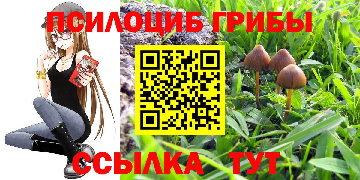 Псилоцибиновые грибы Psilocybine cubensis Гусь-Хрустальный