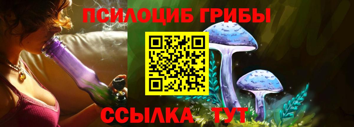 Галлюциногенные грибы Psilocybine cubensis  Галлюциногенные грибы Magic Shrooms  Гусь-Хрустальный  Вход с VPN 
